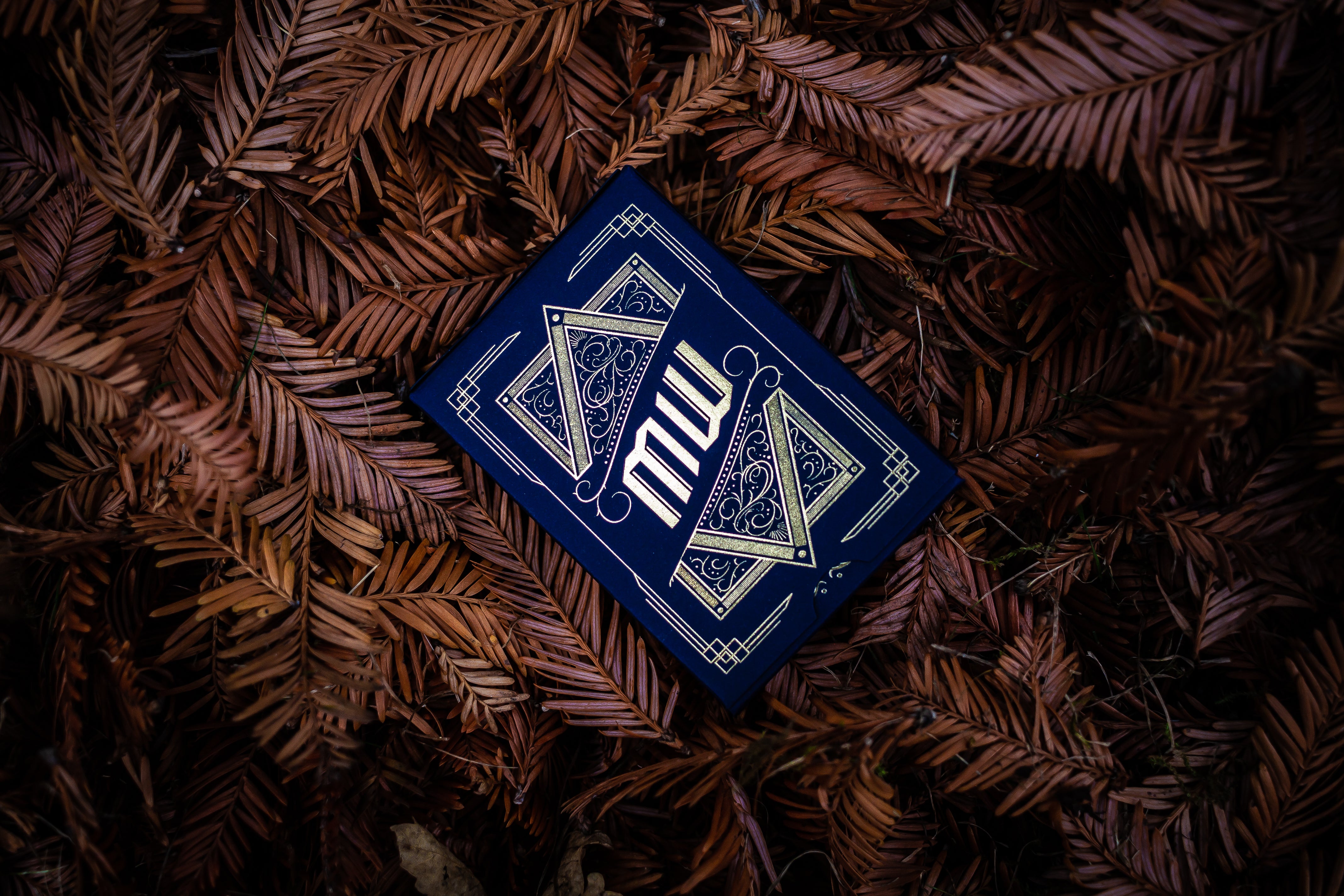 Willows - Das Original
